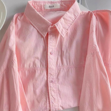 Cotton blue autumn sexy shirt, long-sleeve, pony, 100% cotton, Korean style, oversize, with embroidery