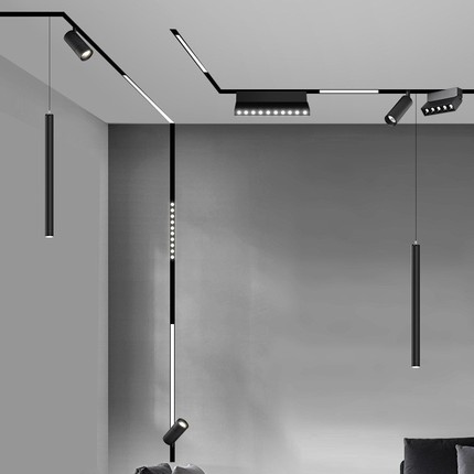 LED smart lamp, lightweight magnetic lights, 48v, voice control